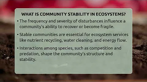 What Is Community Stability In Ecosystems? - Ecosystem Essentials