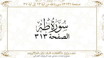 صفحة 313 سورة طه من آية 13 إلى آية 37