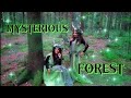 Mysterious forest   auratribe helsinki finland