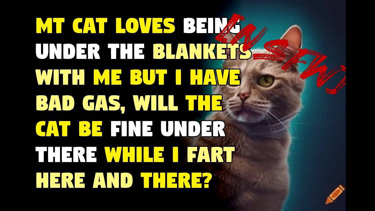 [NSFW] Mt cat loves being under the blankets with me but I have bad gas