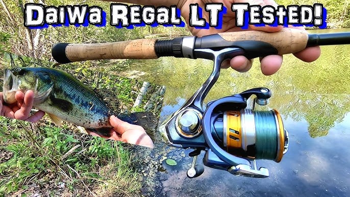 NEW Daiwa Regal LT1000D-XH High Gear Ratio Spinning Reel Review 