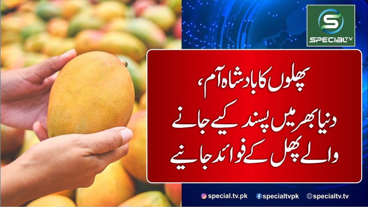 This summer's gift, the king of all fruits, tastes delicious YouTube