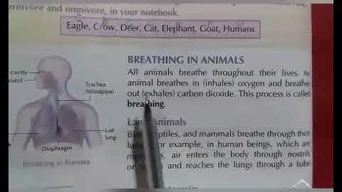 Daloda Public School Class 5th chapter 2nd  Science by Bindu Tiwari (Part - 2)