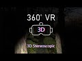 Path Through Dark Woods - 360 VR [3D Stereoscopic]