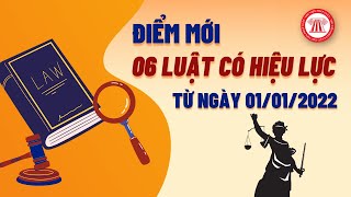 Điểm Mới 06 Luật Có Hiệu Lực Từ Ngày 01/01/2022 | TVPL screenshot 4