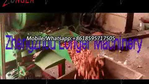 Automatic Peanut Shelling Machine|Small Groundnut Sheller Machine Project