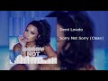 Demi Lovato - Sorry Not Sorry (Clean)