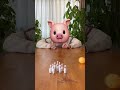 A mouse that interrupts a pig's play. #shorts
