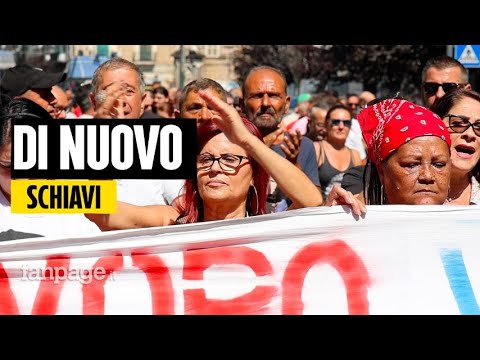 Reddito di cittadinanza, le storie di chi l'ha perso: "Aveva dato dignità a tante persone" Episode cover