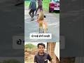 Do Bhai Donon Tabahi || Funny video 😂🤪😛😂 #comedy #dogs
