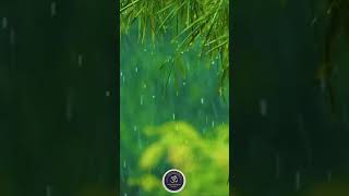 Solar Plexus Chakra Activation During Sleep #chakrahealing #meditationmusic #frequencies