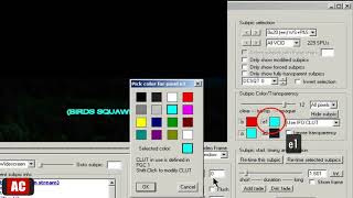 Change Color of DVD Subtitles on Windows-DVDSubEdit