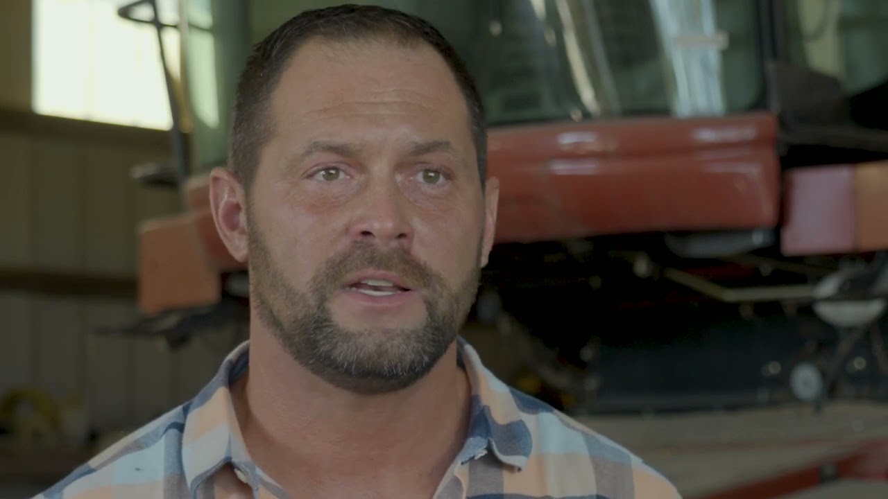 Varieties That Provide Peace of Mind