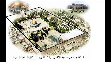 سورة الطارق , الاعلى , الغاشية ,الفجر , البلد