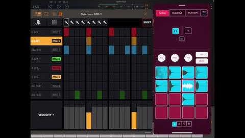 KOALA SAMPLER - How To Use A MIDI Step Sequencer Workflow