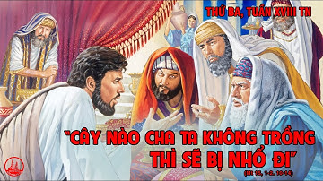 LỜI CHÚA NGÀY 04/8 THỨ 3 TUẦN 18 THƯỜNG NIÊN - Pm CAO HUY HOÀNG, ĐỨC TRỌNG