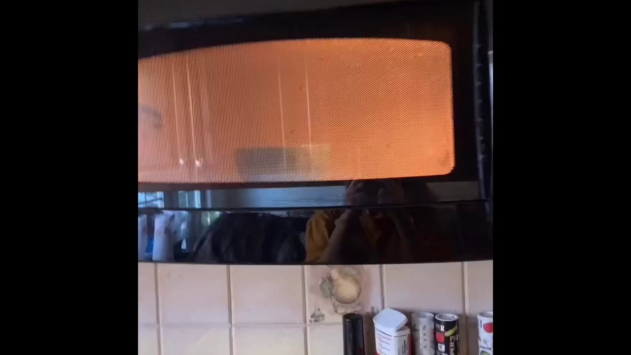 the microwave song YouTube