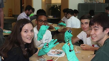 CEYE summer 2018 video