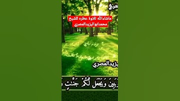 ما شاء الله تلاوة عطره للشيخ محمدابواليزيدالمصري