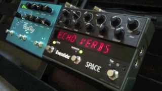 Eventide Space and Strymon BigSky Reverb