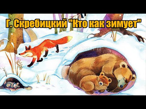 Г. Скребицкий "Кто как зимует"