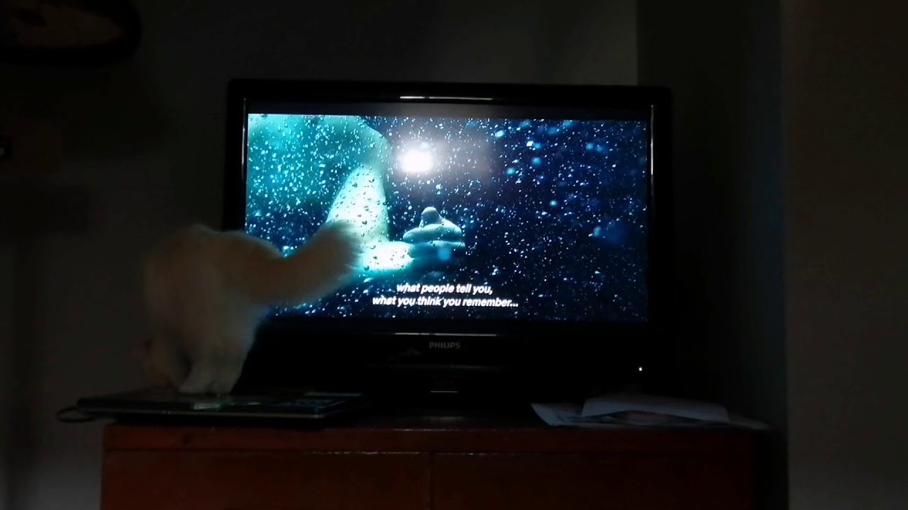 Crookshanks VS Altered Carbon