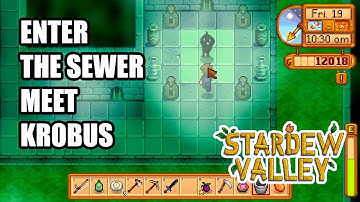 How to Enter The Sewer and Meet Krobus - Stardew Valley