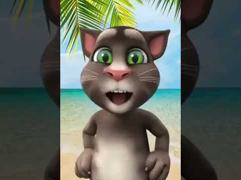 على رمضان 55