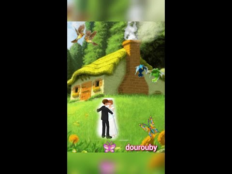 الأملاك المشمولة بنظام الإشتراك بين الزوجين