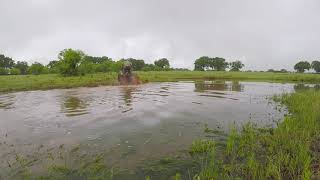 Suzuki Ozark 250 In Mud and Water