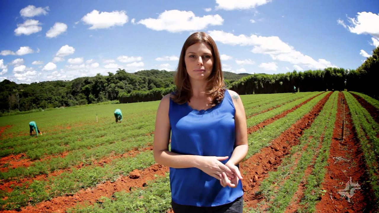 Fazenda Malunga   Momento Ambiental