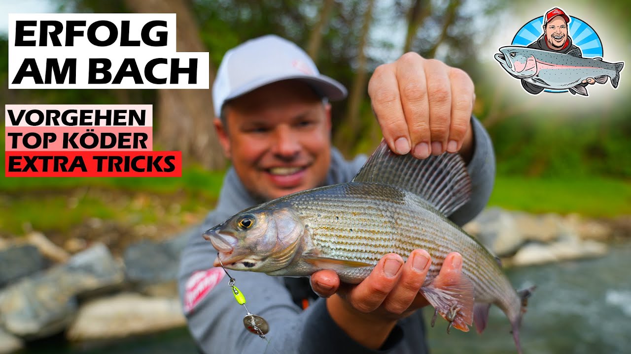 Angeln auf Forellen am kleinen Bach – Spinner fängt immer! I FANG MIT FABI 6