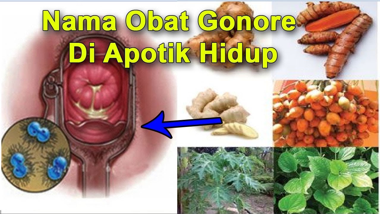 Cara Mengobati Kencing Nanah Obat PMS Di Apotik Hidup