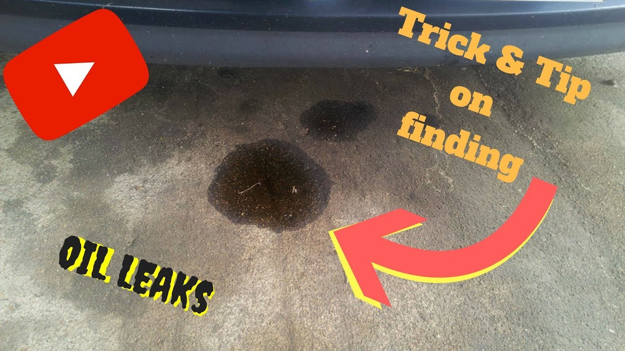 How to Tell If You Have an Oil Leak  