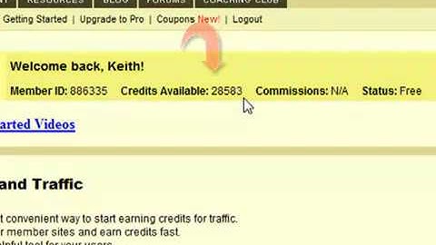 traffic exchange part 1