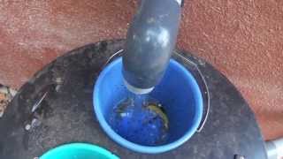 Grease trap for kitchen waste water