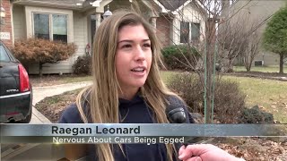 Complaints rolling in about cars being 'egged' in northwest neighborhoods