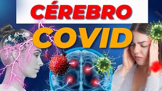 Após Covid Nunca Mais Fui O Mesmo 7 Sintomas De Lesão Cerebral Pelo Covid Longo