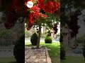 المزمور ٤٠