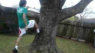 back flip off tree by me
