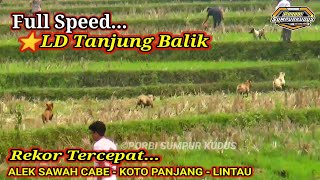 ⭐LD Tanjung Balik | ALEK NUSANTARA SAWAH CABE KOTO PANJANG LINTAU