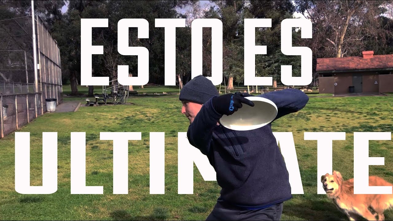 Dia de DISC GOLF y ULTIMATE FRISBEE JOC YouTube