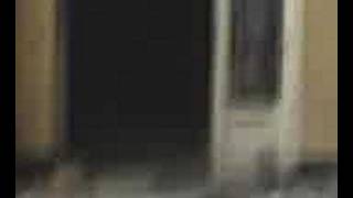 Fantasma en la cruz roja de Melilla