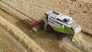 Claas Le Bon 540 Combine Harvester, Spring Barley Harvest July 2023