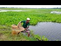 Net fishing - Traditional cast net fishing in village - Fishing with a cast net (Part-07)