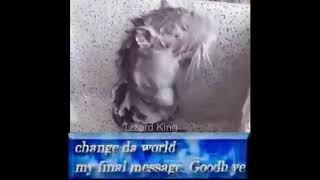 Change Da World... My Final Message... Goodbye