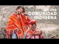 VIVIENDO EN UNA COMUNIDAD INDÍGENA PERUANA | enriquealex