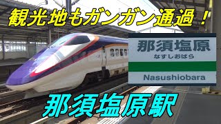 【通過列車ばかり】驚異の通過率83.3％！東北新幹線「那須塩原」駅