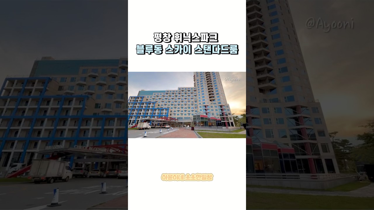 #shorts 휘닉스파크 스카이 스탠다드룸 #휘닉스파크