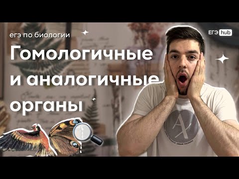 ГОМОЛОГИЧНЫЕ И АНАЛОГИЧНЫЕ ОРГАНЫ | САМАЯ СЛОЖНАЯ ТЕМА | ЕГЭ 2024